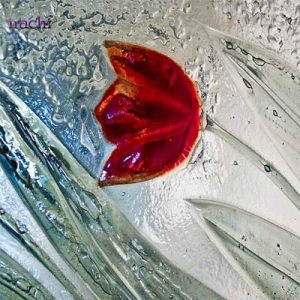 شیشه-فیوز-گلس-با-طرح-لاله